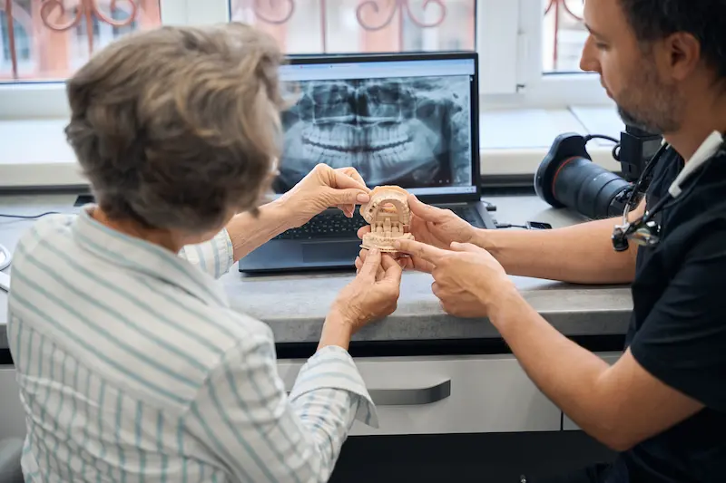 A dentist explains a dental procedure to a patient by using a model mouth.